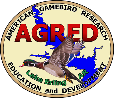 AGRED Foundation